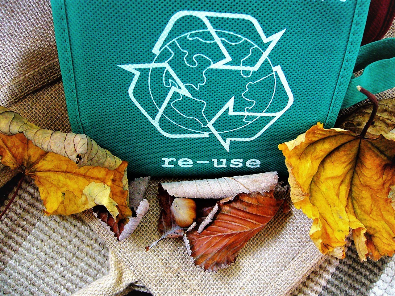 waste